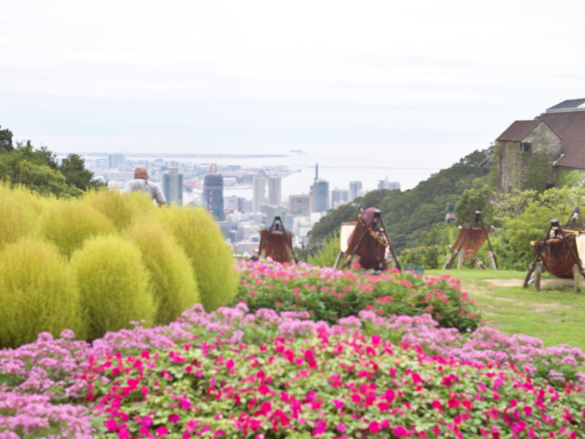nsr50's tweet photo. #布引ハーブ園
ようやく秋の気配が、、とは思ってはいたけど
早くもハロウィン・・・ https://t.co/rTb8OjLQBa