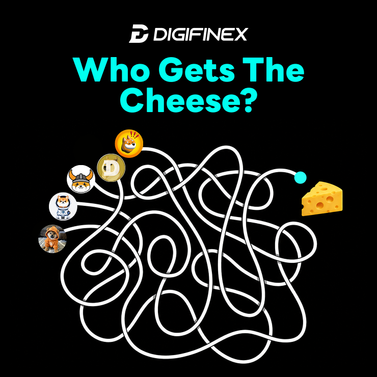 DigiFinex's tweet photo. Who gets the cheese? 🧀

How to join:
1️⃣ Follow @DigiFinex
2️⃣ Like + RT
3️⃣ Comment your answer below

🎁 5 winners × 10 $USDT
Winner will get a DM!

Goooooood luck! https://t.co/edrUxPddjF
