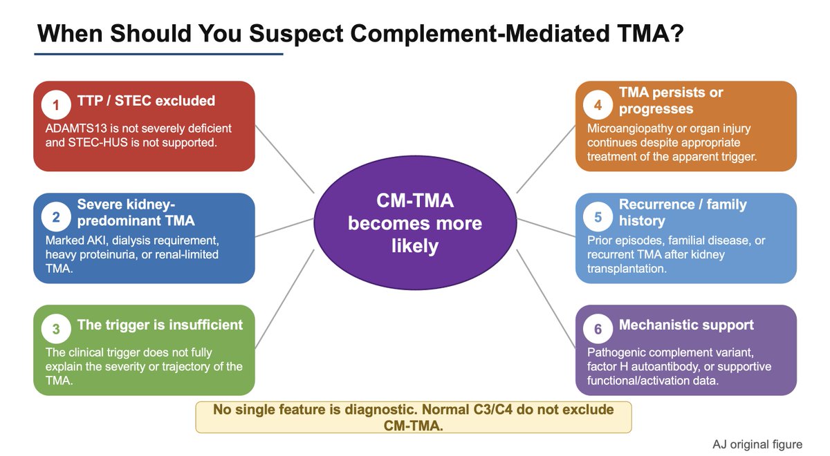 ISNeducation's tweet photo. 18/n #ECNeph @ISNkidneycare @anuja_java @Dilushiwijay @myadla
Its very imp to know when to suspect CM-TMA ?
Kidney dominant
Persistence of TMA
Fam H/o
Recurrence
Normal ADAMTS 13
Insufficient trigger of TMA trajectory https://t.co/ccenJfPffl