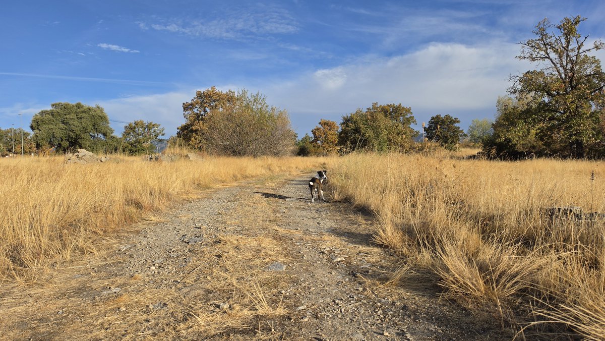 GerardoQuietMan's tweet photo. Dora &amp; Me on the road to nowehere. https://t.co/0YS49eE0K7