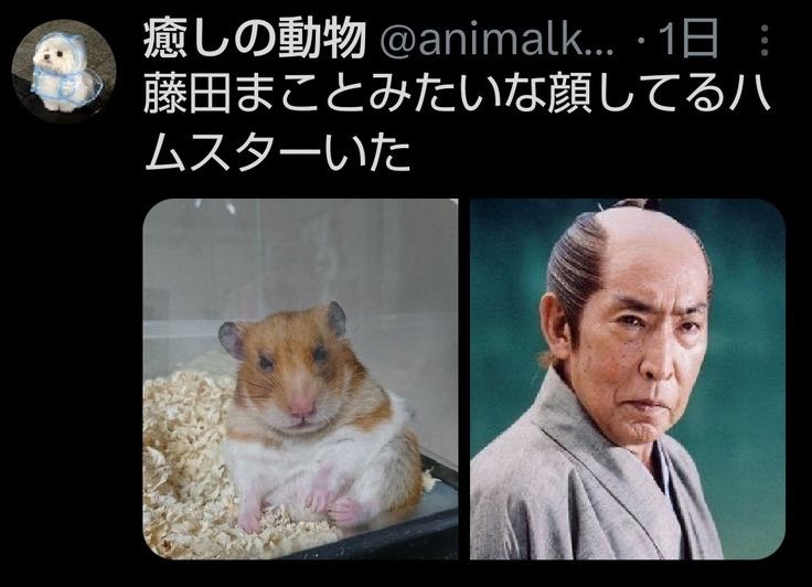 hayakore's tweet photo. https://t.co/2SnVyD10tW