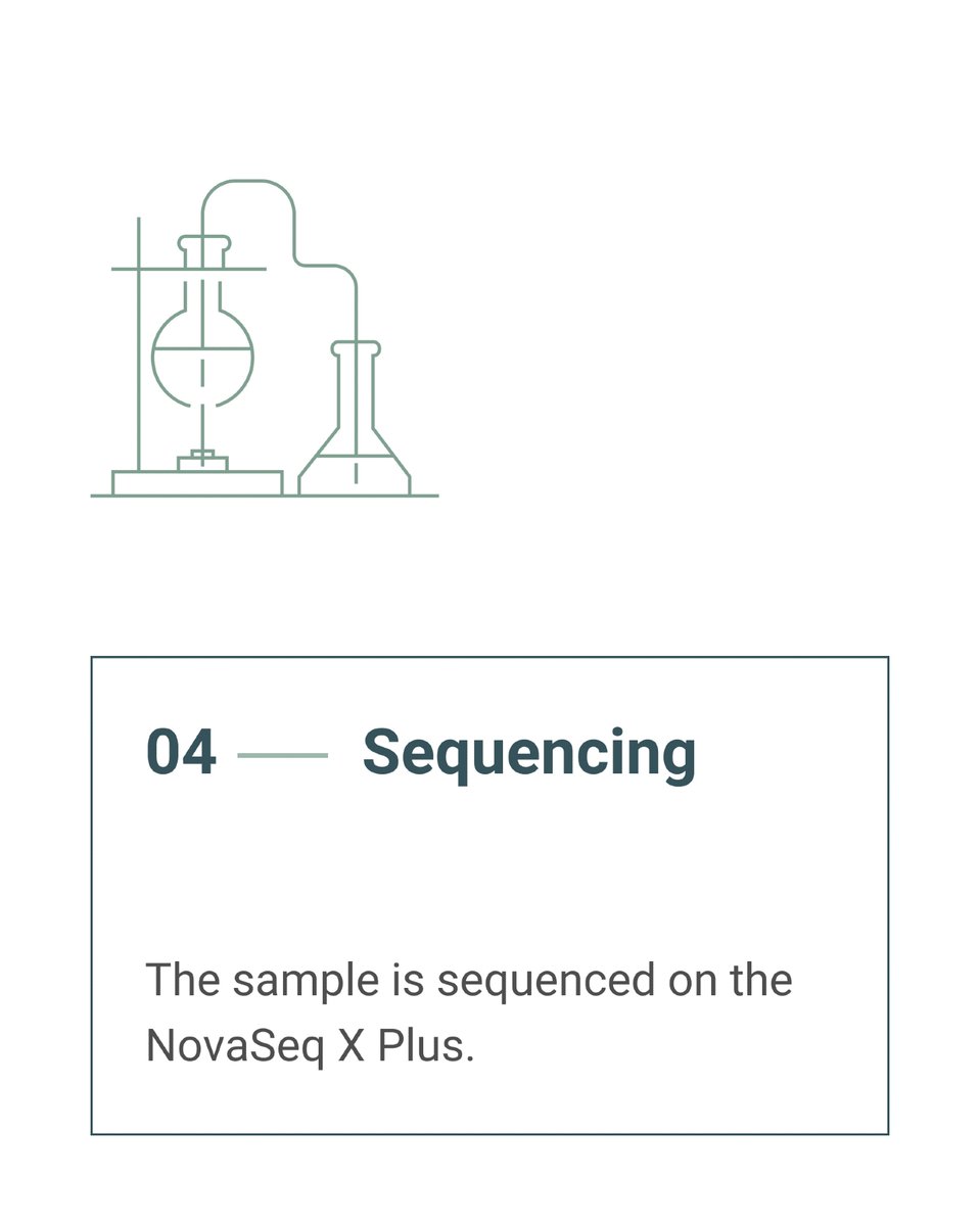 Curagenex's tweet photo. What happens to a sample?

1. Barcoded
2. DNA extracted &amp; checked
3. Prepared for sequencing
4. Sequenced on NovaSeq X Plus
5. Secured &amp; interpreted

Five steps. One chain. No borders crossed.

#CuraGenex #BringTheAnswerHome #Genomics #SaudiArabia #PrecisionMedicine #Vision2030| https://t.co/g7VCRya663