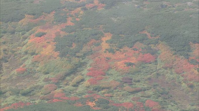 sapporolife2021's tweet photo. 北海道大雪山系で紅葉が進む🍁
寒暖差大きく、色づきは例年より早め👀
https://t.co/yCAzFsl4go https://t.co/iETuucjLva