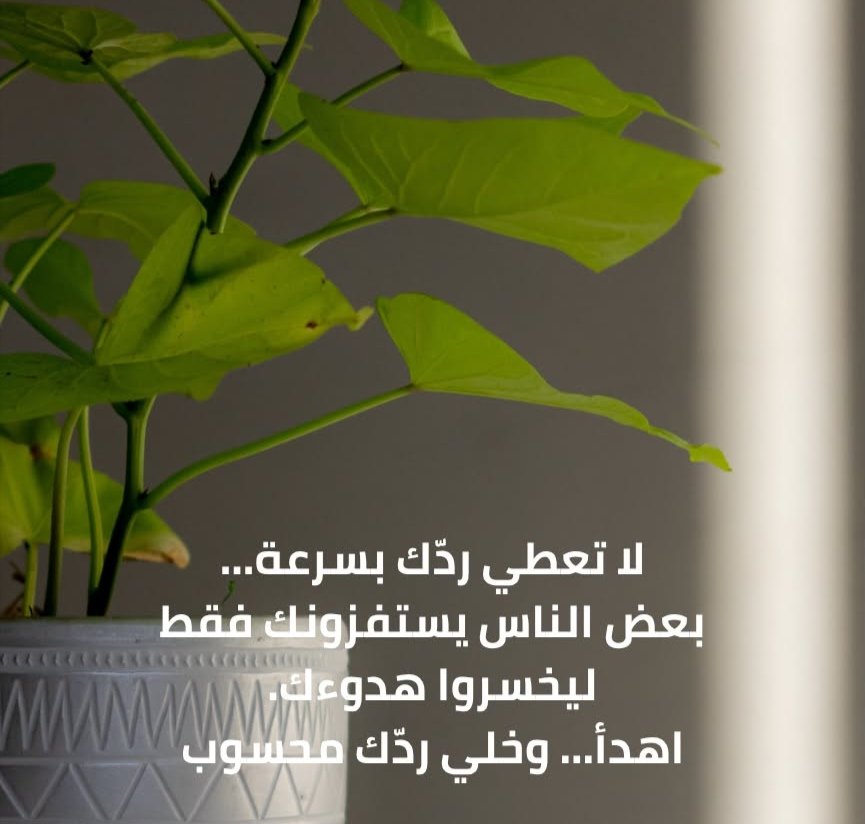 sameralsalom's tweet photo. https://t.co/PFefWj08Wv