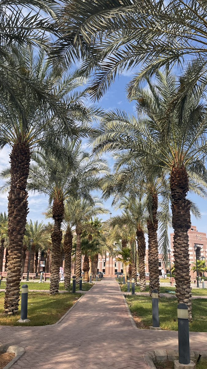 eviin_1's tweet photo. سَعِدت بحضور اللقاء التوعوي بعنوان «تعزيز قيم النزاهة في بيئة العمل» ضمن مبادرة «فسيرى الله عملكم»، بتنظيم@taibahu وبالشراكة مع هيئة الرقابة ومكافحة الفساد.

لقاء ثري أضاف لي الكثير، وأثرى معرفتي بالنزاهة والالتزام والمسؤولية المهنية ⚖️. https://t.co/xiB4prnFGj