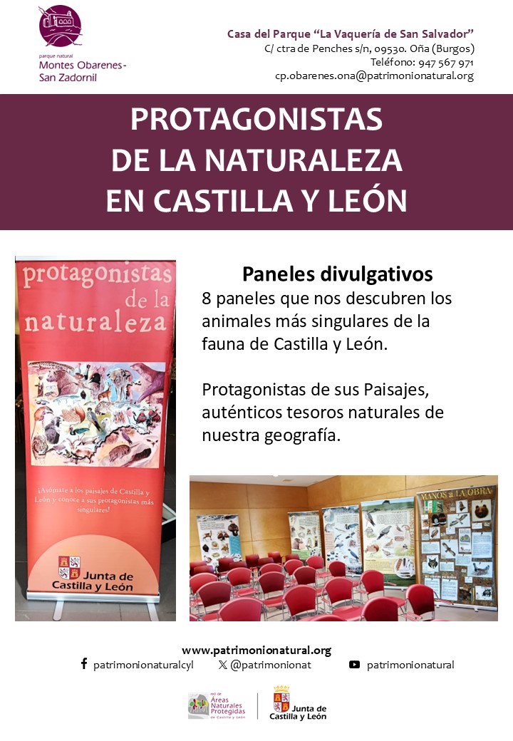 patrimonionat's tweet photo. Que interesante es la muestra que acoge la Casa del Parque de #Oña #Burgos, sobre la importancia y relevancia de las especies que habitan en el Parque Natural de Montes Obarenes - San Zadornil... siempre, con nuestros monitores aumentando su valor y respondiendo a tus preguntas. https://t.co/1lryYFY3Ci