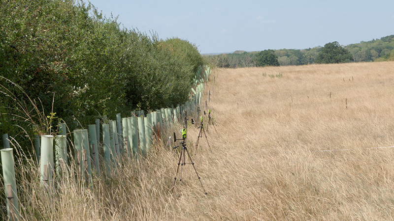 OrgResCent's tweet photo. Building English Shelterbelt Trials for Productivity (BEST) is an ADOPT-funded, farmer-led trial investigating the benefits to livestock systems from improved hedgerow/windbreaks. Led by Progressive Milk Producers, ORC is a research subcontractor.
https://t.co/QGFUPXWmh4 https://t.co/12Qi3ZgpQm
