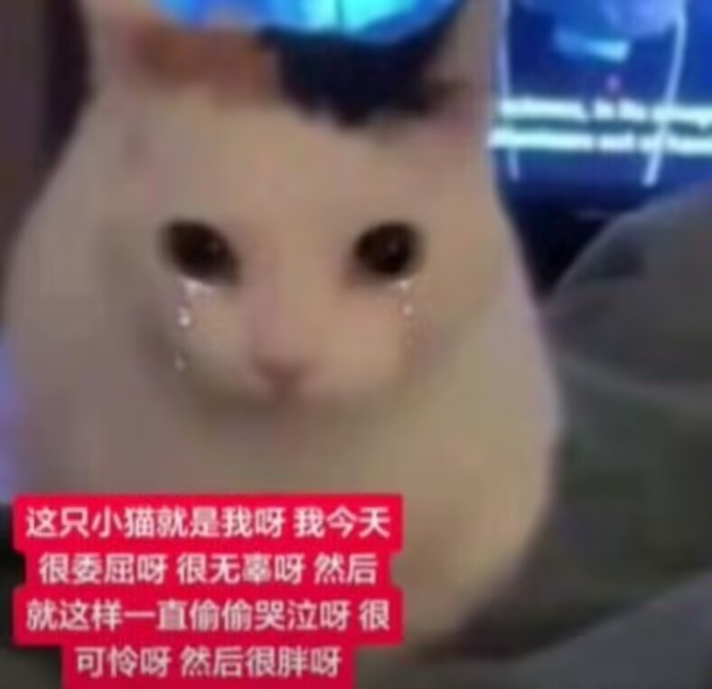 mochang1218's tweet photo. 我每天belike... https://t.co/Sod6B5AaMc