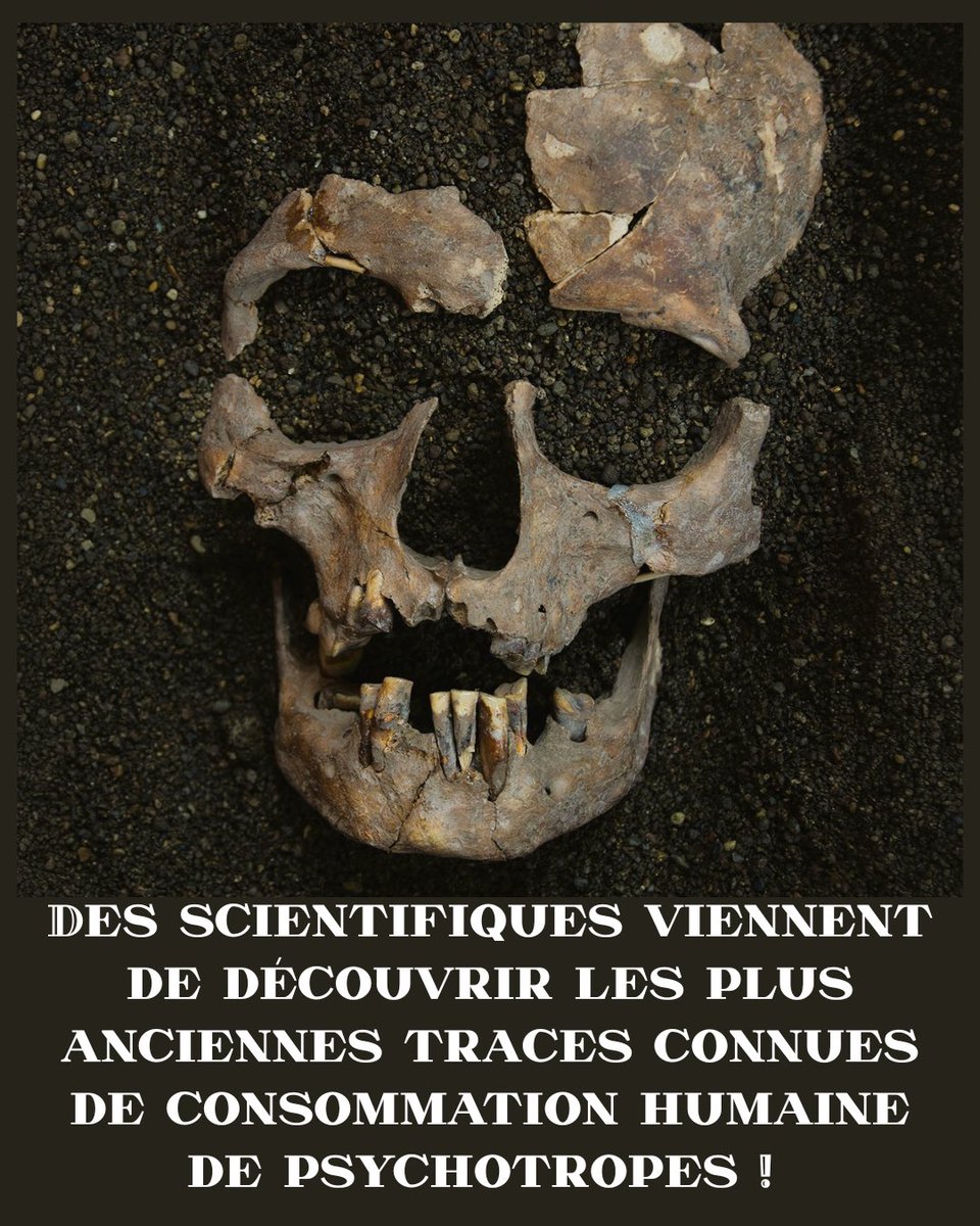 ZoeDubus's tweet photo. Une découverte passionnante !!
1/2 https://t.co/wTBhHi8vRs