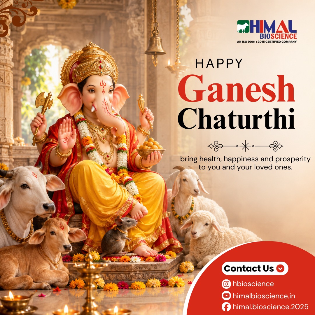 Himalbioscience's tweet photo. May Lord Ganesha bring health to every life, happiness to every heart, and prosperity to every home.✨

#GaneshChaturthi2026 #GanpatiBappaMorya #GaneshChaturthi #Ganpati #HealthyLiving #Wellness #HealthAndHappiness #Prosperity #NewBeginnings #GaneshUtsav #HimalBioscience https://t.co/zekrHO7DkW