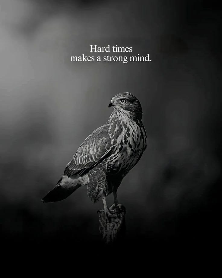 masteringmanhd's tweet photo. https://t.co/MuWVQN31lN