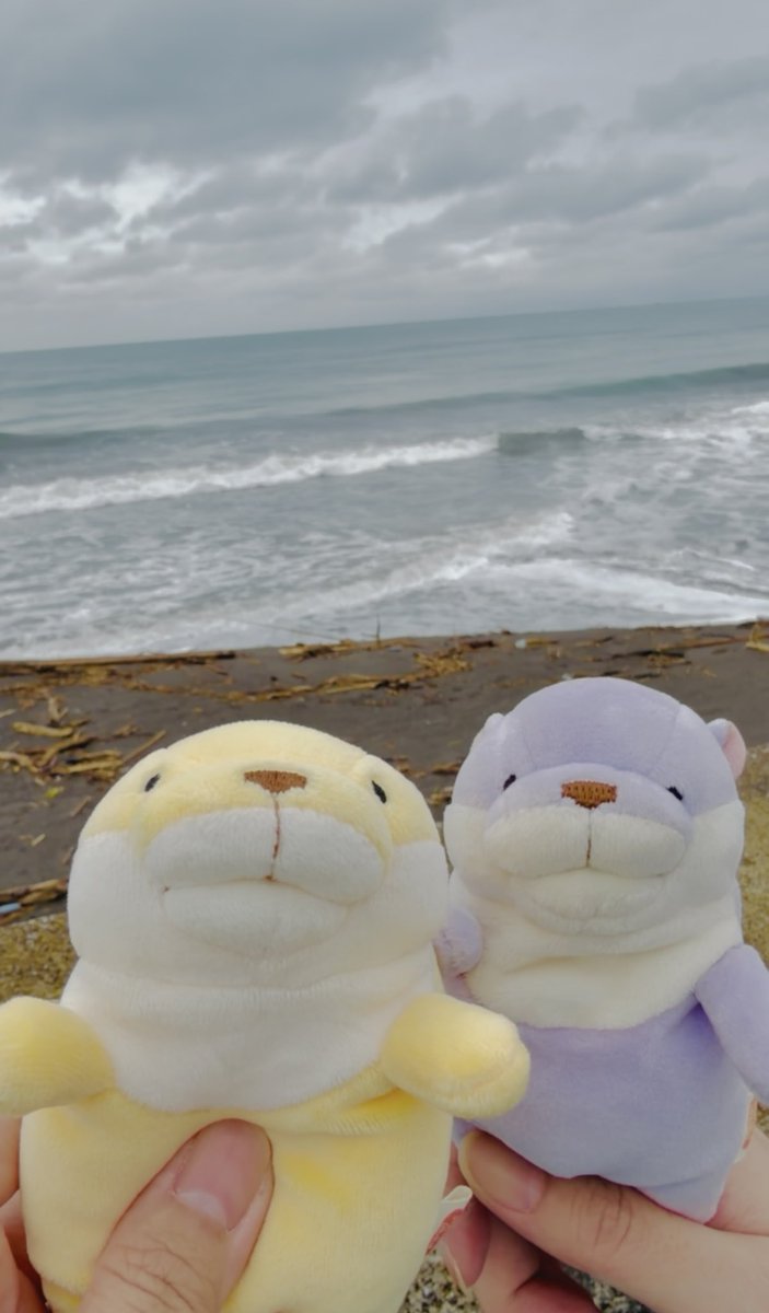hanezuya's tweet photo. シャチを見てシャチでか！となりたい
と言ってたらiさんが付き合ってくれてお出かけしてきた
鴨シーは大きな生きものが近くて嬉しい

シャチでか！ゲトウェ並みの水を頂きました。海の強者のパワーを感じた。格好よかった🫍🫍🫍 https://t.co/hwF3xPMmiZ