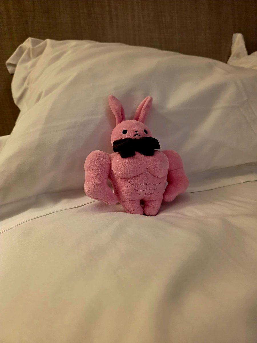 PenOugi's tweet photo. First stop was France. The braderie weekend in Lille to be specific. 

Good friend's review: "The hotel is passable but there's too many people. Definitely too many drunk people."

Me: Why is your color so affected by lighting 😭 

#musclebunnyfriend #plushdoll #plushie https://t.co/aEq4wctCtf
