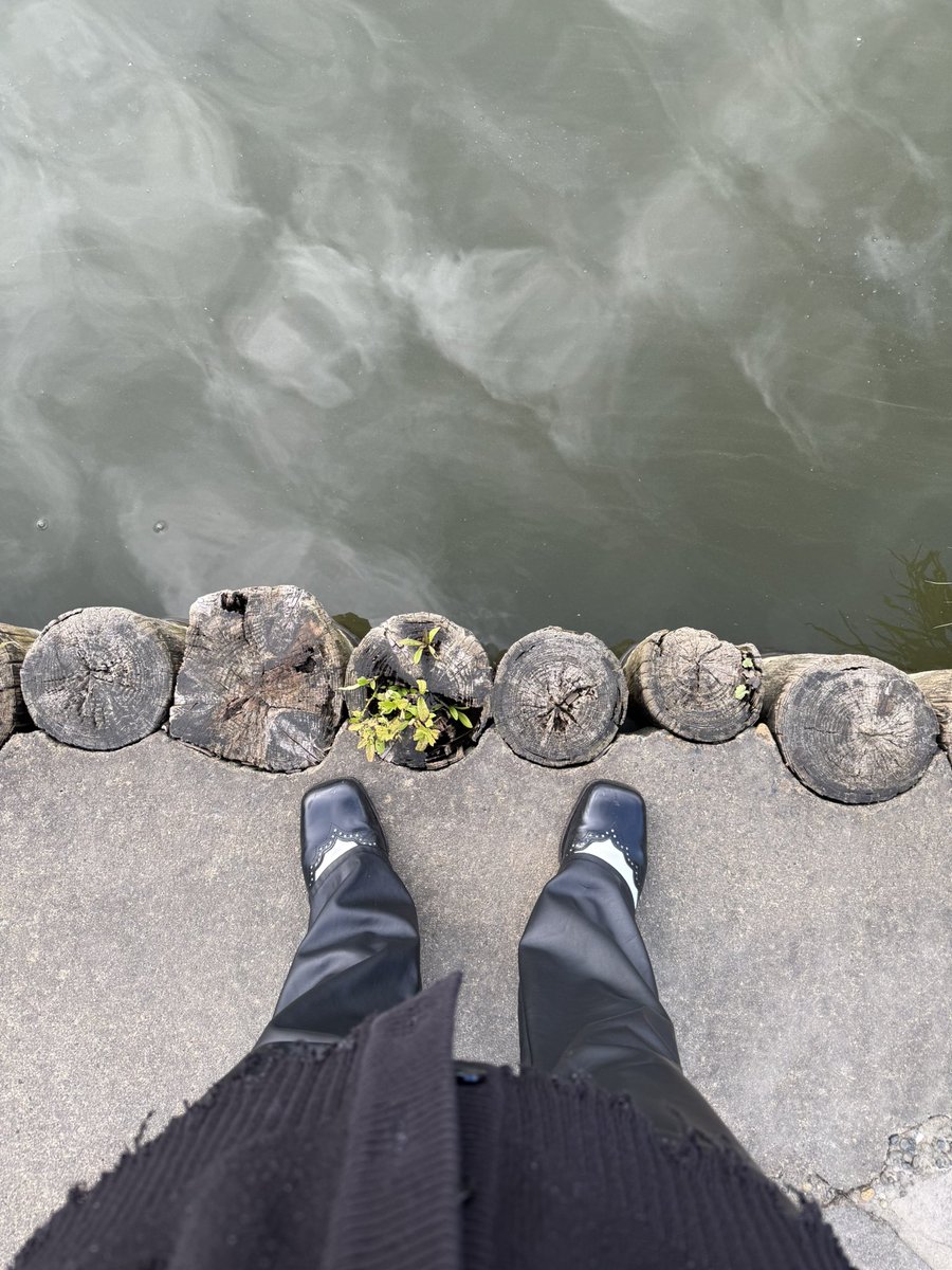 MASHIHO_IB's tweet photo. 今年の北海道も楽しかった🫰 https://t.co/kKbNoTYsZr