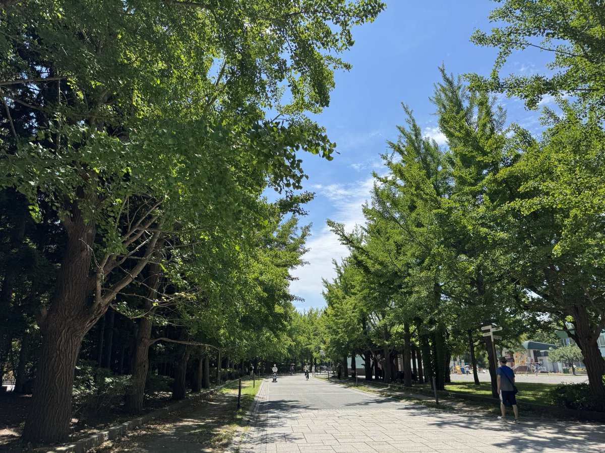 FA_LOVEppears's tweet photo. 今日9月10日(木)は北海道札幌市に移住して3,000日目になりました😊

昼間はカラッとした暑さですが朝晩は気温下がり紅葉が少しずつ広がってきてます🍂

#移住　#北海道　#札幌 https://t.co/m3i8jHjQwu