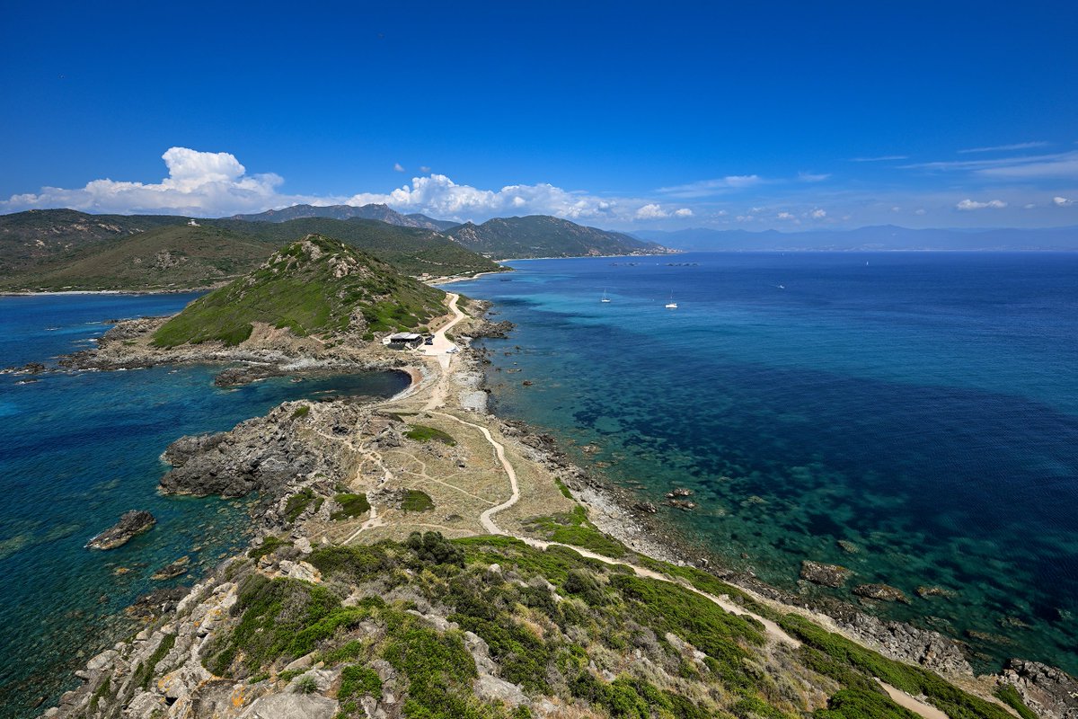 VilledAjaccio's tweet photo. 𝐏𝐫𝐨𝐥𝐨𝐧𝐠𝐚𝐭𝐢𝐨𝐧 𝐝𝐞 𝐥’𝐞𝐧𝐪𝐮𝐞̂𝐭𝐞 𝐩𝐮𝐛𝐥𝐢𝐪𝐮𝐞 - 𝐂𝐮𝐥𝐭𝐮𝐫𝐞𝐬 𝐦𝐚𝐫𝐢𝐧𝐞𝐬 𝐚̀ 𝐥𝐚 𝐏𝐨𝐢𝐧𝐭𝐞 𝐝𝐞 𝐥𝐚 𝐏𝐚𝐫𝐚𝐭𝐚
Les services de l'État prolongent l’enquête publique relative à la demande d’exploitation de cultures marines à la Pointe de la Parata est prolongée de 15 jours.

Elle se poursuivra donc du 𝐯𝐞𝐧𝐝𝐫𝐞𝐝𝐢 𝟏𝟏 𝐬𝐞𝐩𝐭𝐞𝐦𝐛𝐫𝐞 𝐚𝐮 𝐬𝐚𝐦𝐞𝐝𝐢 𝟐𝟔 𝐬𝐞𝐩𝐭𝐞𝐦𝐛𝐫𝐞 𝟐𝟎𝟐𝟔.

Cette enquête concerne l’activité de la ferme aquacole implantée dans ce secteur.

Pendant cette période, toute personne souhaitant formuler des observations ou présenter d’éventuels moyens d’opposition peut les consigner sur les registres mis à disposition du public :

- à Ajaccio, dans les locaux de la 𝐃𝐢𝐫𝐞𝐜𝐭𝐢𝐨𝐧 𝐠𝐞́𝐧𝐞́𝐫𝐚𝐥𝐞 𝐝𝐞𝐬 𝐬𝐞𝐫𝐯𝐢𝐜𝐞𝐬 𝐭𝐞𝐜𝐡𝐧𝐢𝐪𝐮𝐞𝐬 𝐝𝐞 𝐥𝐚 𝐕𝐢𝐥𝐥𝐞 𝐝’𝐀𝐣𝐚𝐜𝐜𝐢𝐨, 𝐬𝐢𝐭𝐮𝐞́𝐬 𝟔 𝐛𝐨𝐮𝐥𝐞𝐯𝐚𝐫𝐝 𝐋𝐚𝐧𝐭𝐢𝐯𝐲 ;
- dans les mairies de Villanova, Alata, Afa, Bastelicaccia et Grosseto-Prugna ;
- à la Direction de la mer et du littoral de Corse, à Bastia et Ajaccio.

Les observations peuvent également être adressées par mail à :
af.dmlc@mer.gouv.fr

Plus d’informations sur le site de la préfecture de Corse-du-Sud :
https://t.co/HlKSJuzXcr