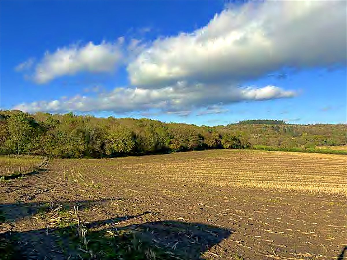 AgLandUK's tweet photo. NEW AGLAND SELLER LISTING 📢

103-acre working farm four miles south of Ruthin, £2.29m freehold, with a five-bedroom farmhouse, a three-bedroom barn conversion, cattle sheds and two silage clamps.

103-acre Working Farm in Llanfair Dyffryn Clwyd, Clwyd
https://t.co/KSzs4R6WDM https://t.co/TIAMTE1D4M