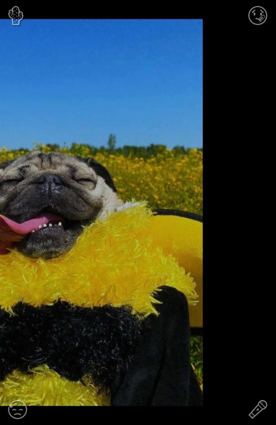 Jucasaro74's tweet photo. Stepping into this enchanting realm of blossoms allows every petty worry to simply melt away. Endless fields of flowers in full bloom😀A business associate is calling on the phone https://t.co/PLTlYQq2RG
