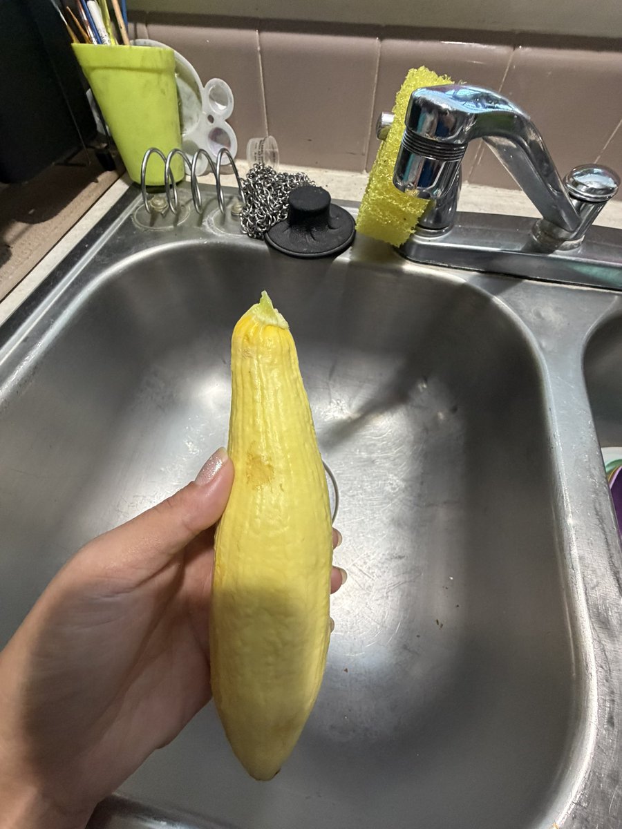 RealRocketQueen's tweet photo. Good morning 🌞 a little bit of garden slop. I’ve got 6 watermelon, squash plant just keeps on giving. Looks like I might have another pumpkin…. all in all it’s a good garden https://t.co/AGsmAbVQYF