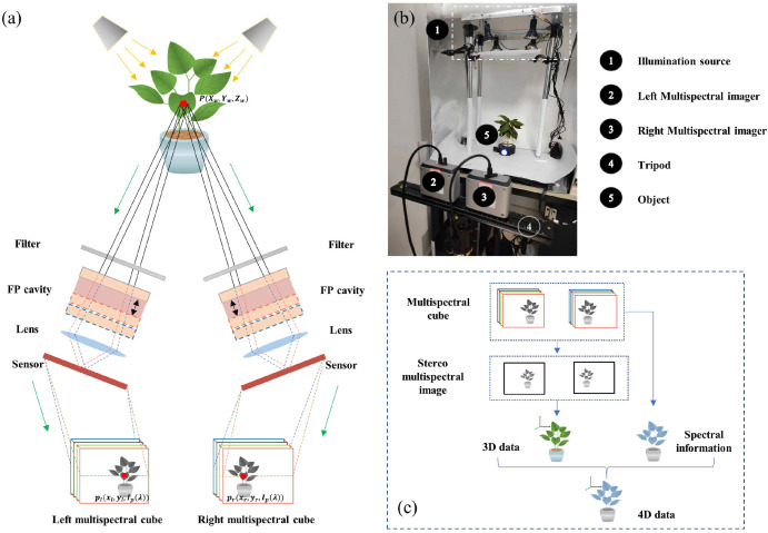 PPhenomics's tweet photo. New binocular multispectral stereo imaging system achieves pixel-level 3D-spectral alignment for 4D plant phenotyping and chlorophyll mapping. #PlantPhenotyping #MultispectralImaging #PrecisionAgriculture
Details: https://t.co/ALbLCncWtc https://t.co/BEl8418ElB