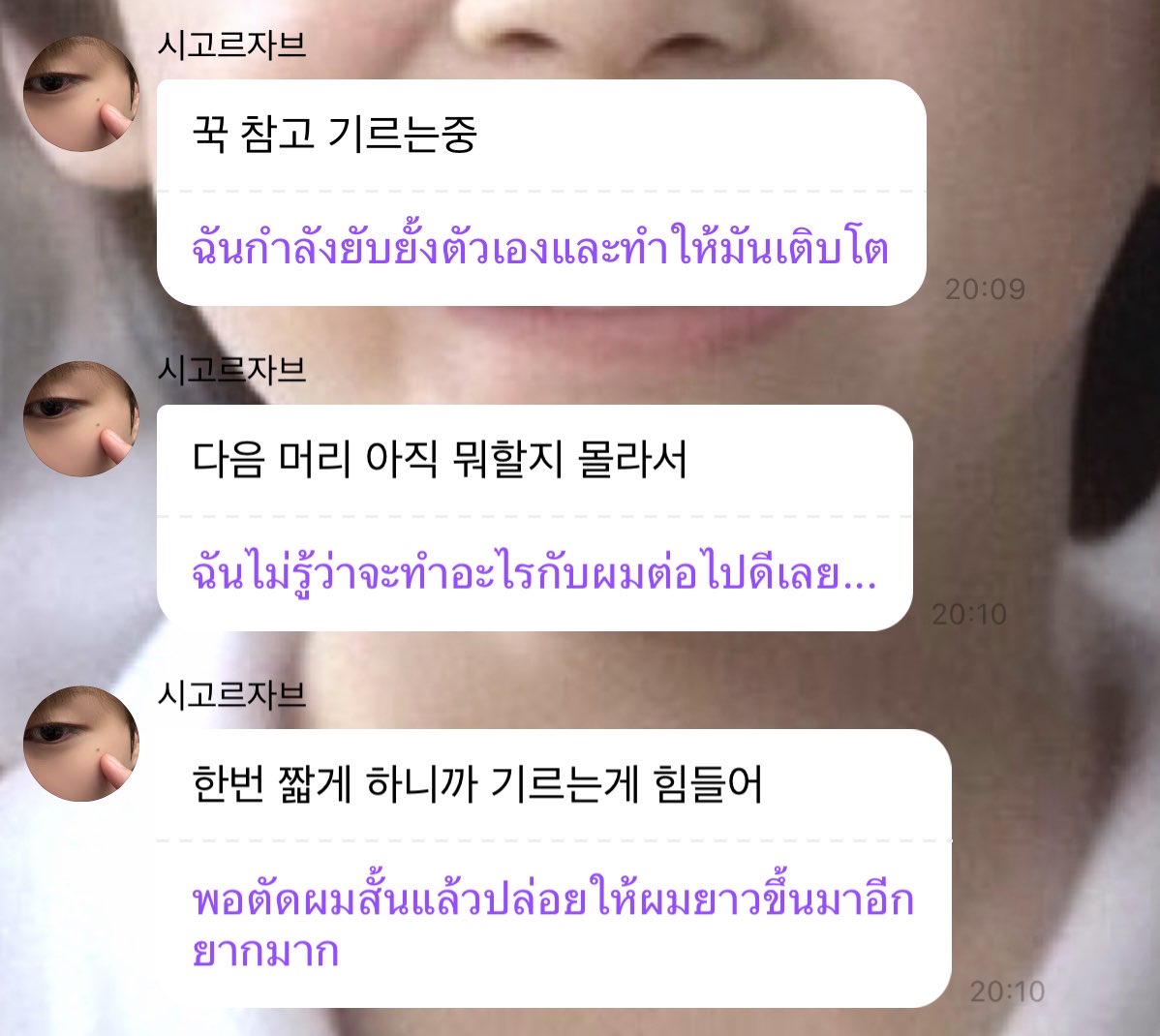 araiwaaa5's tweet photo. อดทนให้หางเต่าเติบโตยุสินะ เราจะได้เห้นหางเต่ารึโน่จะร้อนก่อน ไปดู https://t.co/Jf9dCSQ9jI