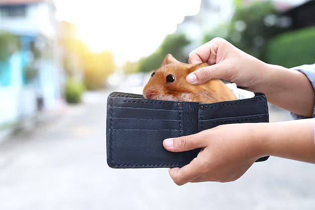 nomguy69's tweet photo. @wizardofsoho No hungry hamster? https://t.co/39DdnNAjnM