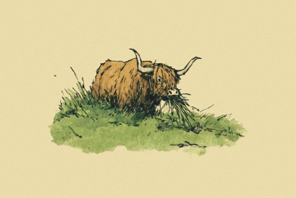 CoelingAurochs's tweet photo. Good Morning. Stop blackpilling. Have a good day. https://t.co/69rAP9kxkN