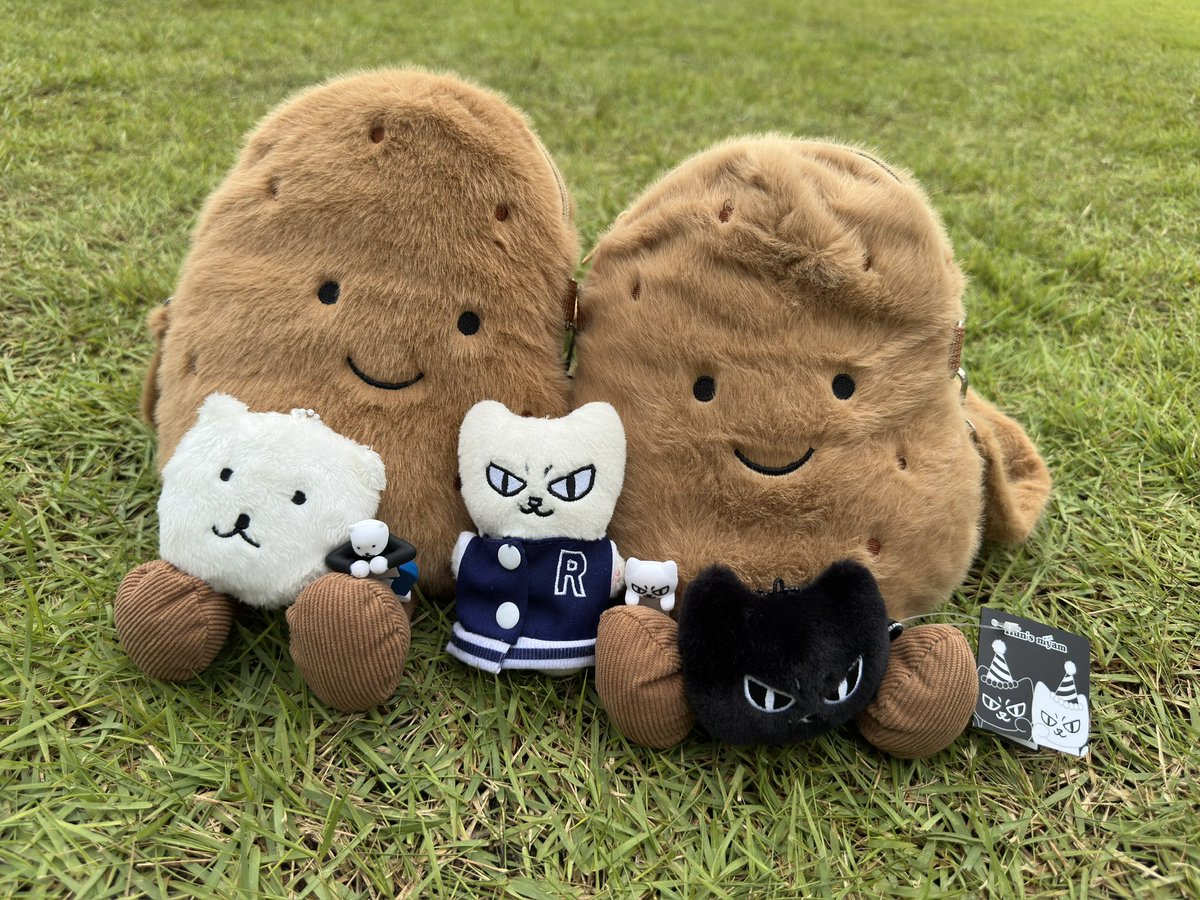 shine_NF0520's tweet photo. 260910 샤아인 여기 잠들다...

🐱 : 내 이름이 보였어ㅎ😸

오전에 강릉 도착해서 짬뽕순두부 &amp; 순두부젤라또 &amp; 동해바다 당일치기 여행까지 완벽한 하루‼️

훈이오빠 너무너무 고마워요🩵🩵

그리고 회승오빠가 든 가방 안에는 먐미얼굴키링이 있었어요😼ㅋㅋㅋㅋㅋㅋㅋ

#엔플라잉 #차훈 #유회승 https://t.co/bBUyrEgOrp