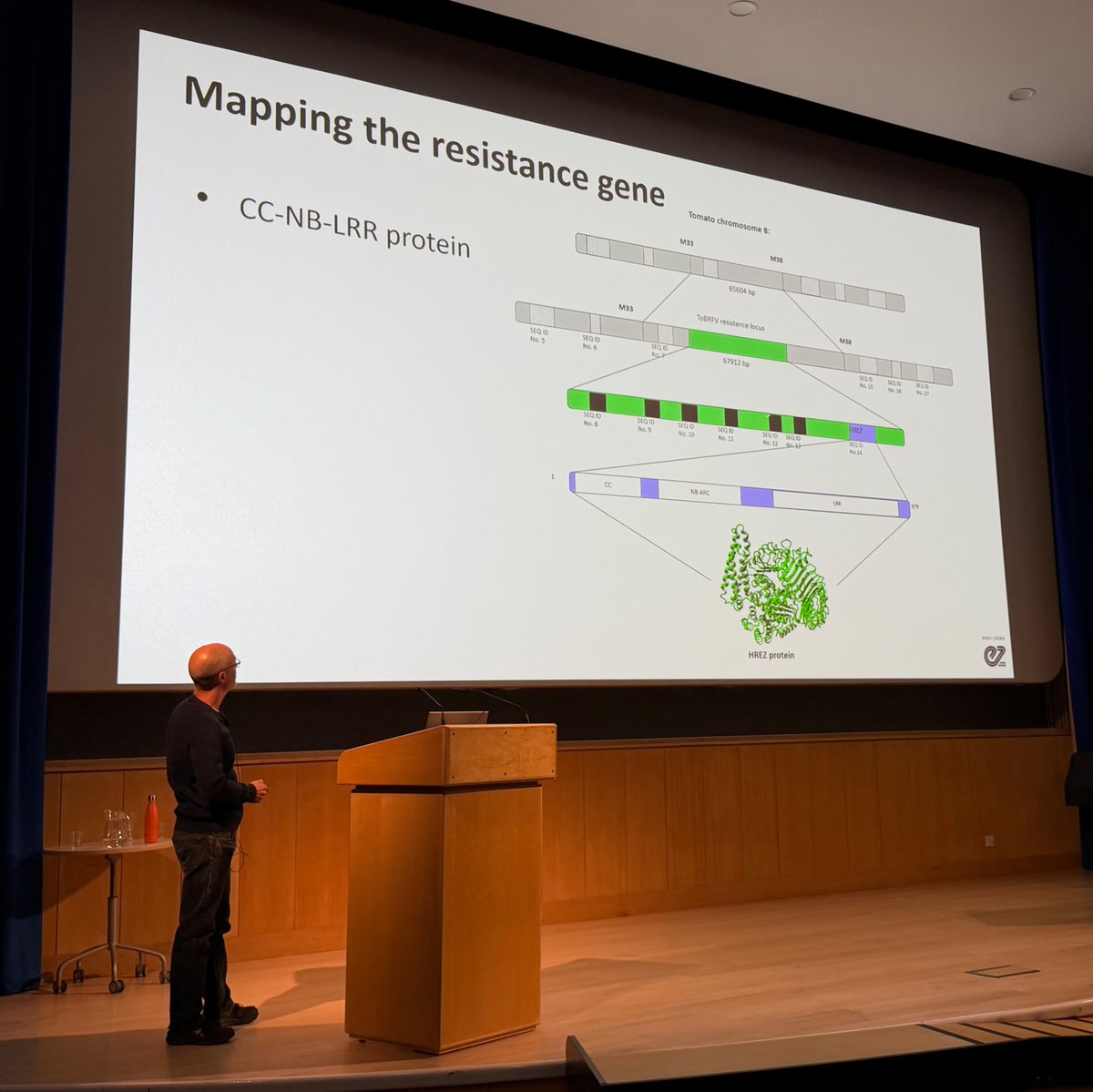 KamounLab's tweet photo. Taxonomists now call it Tobamovirus fructirugosum but the virus itself—tomato brown rugose fruit virus (ToBRFV)—remains a plague on the tomato industry. More resistance traits needed 🍅🦠
Great talks by Adrian Fox and Sergio de la Fuente #BSPP26 #PPATH2026 #PlantHealth