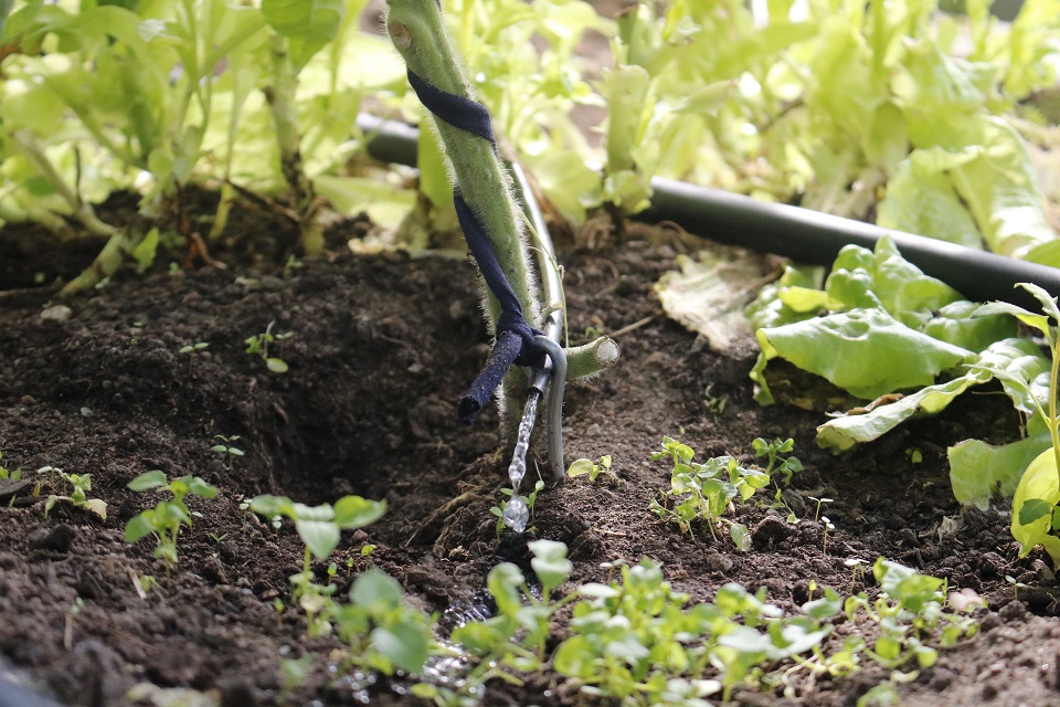 thebaltictimes's tweet photo. Lithuanian GRAAS turns irrigation into a data-driven business
https://t.co/UezDSASMHt https://t.co/SV0eSaHZxt