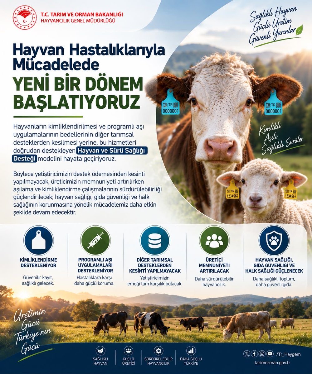 TR_HAYGEM's tweet photo. 🐄💉 Hayvan hastalıklarıyla mücadelede güçlü adım!

Programlı aşı ve kimliklendirme uygulamalarını doğrudan destek kapsamına alıyoruz.

Böylece yetiştiricimizin diğer tarımsal desteklerinden kesinti yapılmadan; aşılama ve kimliklendirme çalışmalarının sürekliliğini güçlendiriyoruz.

Kimlikli hayvan, aşılı sürü, güvenli üretim. 🇹🇷

@TCTarim 
@ibrahimyumakli