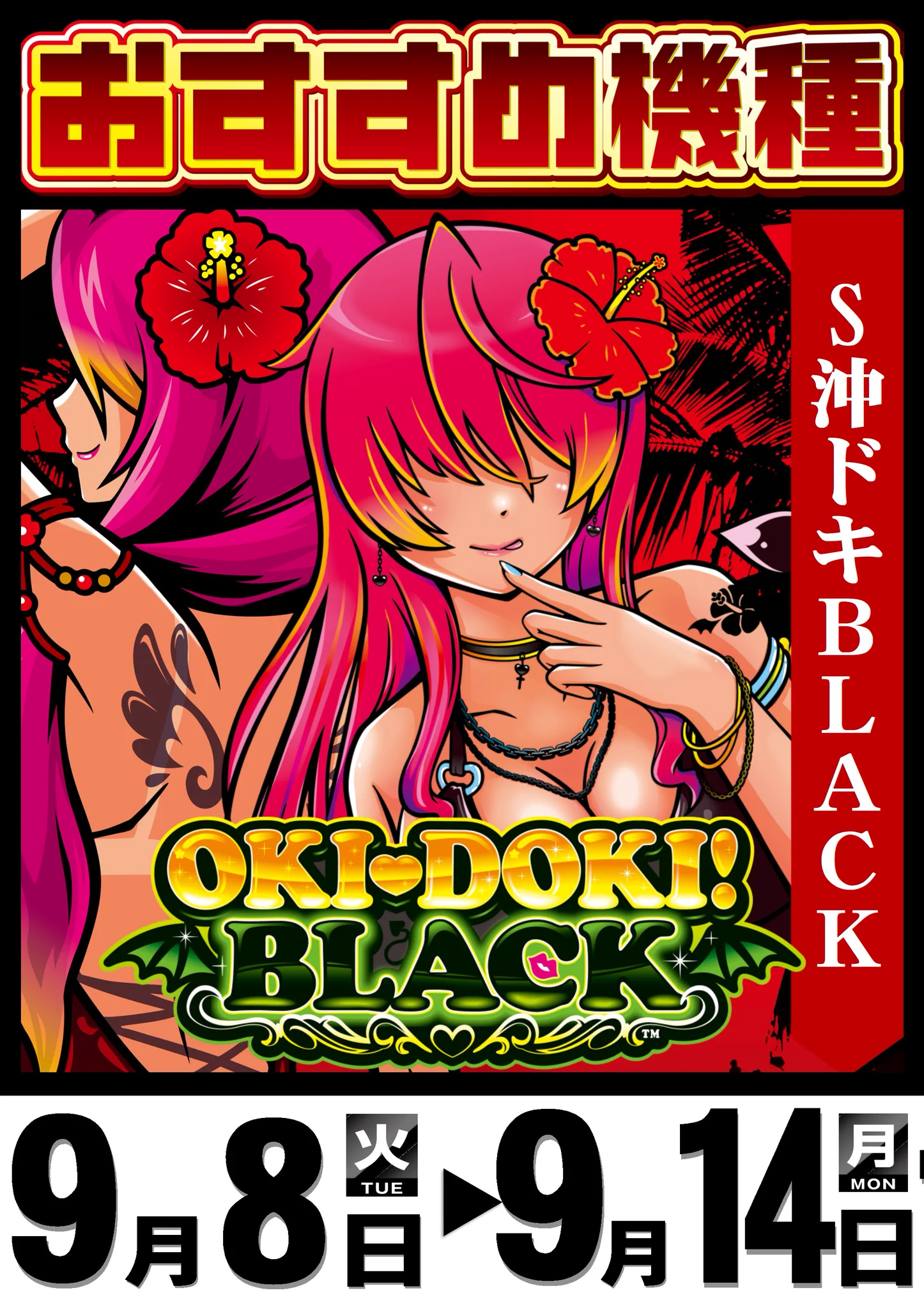 バチャンタイマイ♂♀標本★バチャン島産★♂66/72mm♀稀貴重・亜種別・美麗 ABC浜松森田町店【パチンコ＆スロット】 on X: 