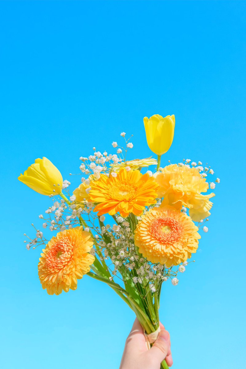 Noah_photobook's tweet photo. お花に癒されたい人に届きますように。 https://t.co/SEs9oVZ9WD