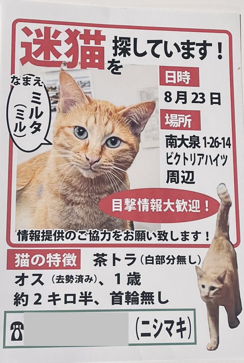 YtvzVUV377sK3Ey's tweet photo. #迷い猫　#練馬区　#南大泉　#迷子猫　#拡散希望
【再投稿】
8/23明方に脱走したとおもわれます。
東京都練馬区南大泉1丁目のマンションより脱走しました。
チャトラのミル太（白い部分のないチャトラ）雄です。首輪はつけていません！！
見かけたら方いらっしゃいましたら、ご連絡ください！！ https://t.co/KxRwoGWQmO