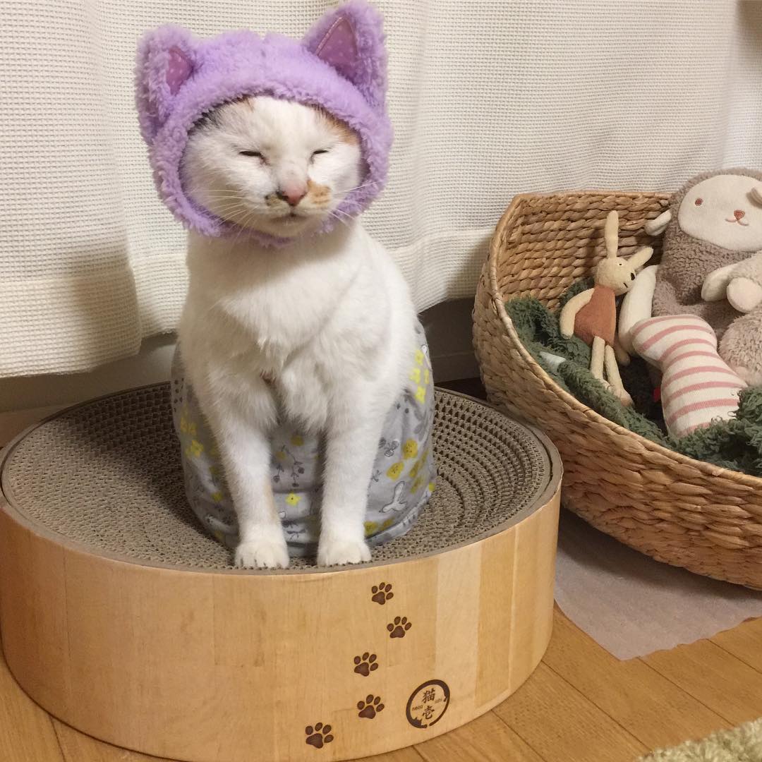 LashandaHarbeck's tweet photo. 言葉にできない感情がふと顔を出す瞬間がある。自分を守るための鎧は、どんな時に脱ぎ捨てられるものなのかな。 https://t.co/ZWp1YJTL80