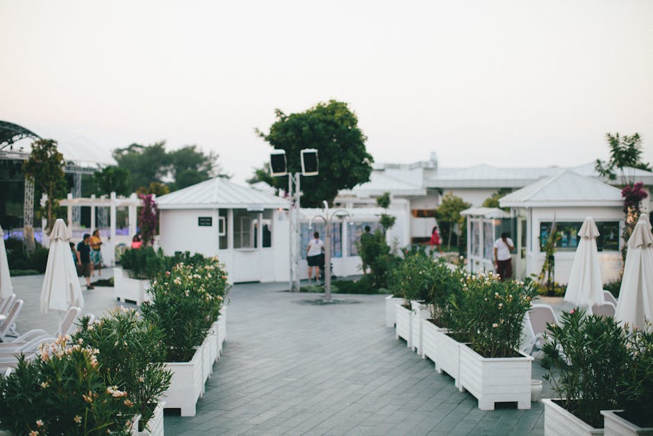 ChristenLinkrx's tweet photo. العلاقة اللي يزرع السكينة على هو النور الشاطئ. luis frueh🥣 https://t.co/wiePlsckUq