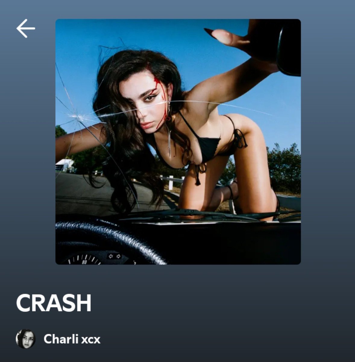 agateprime's tweet photo. #relistening to chop... https://t.co/z0KoAkpVYh