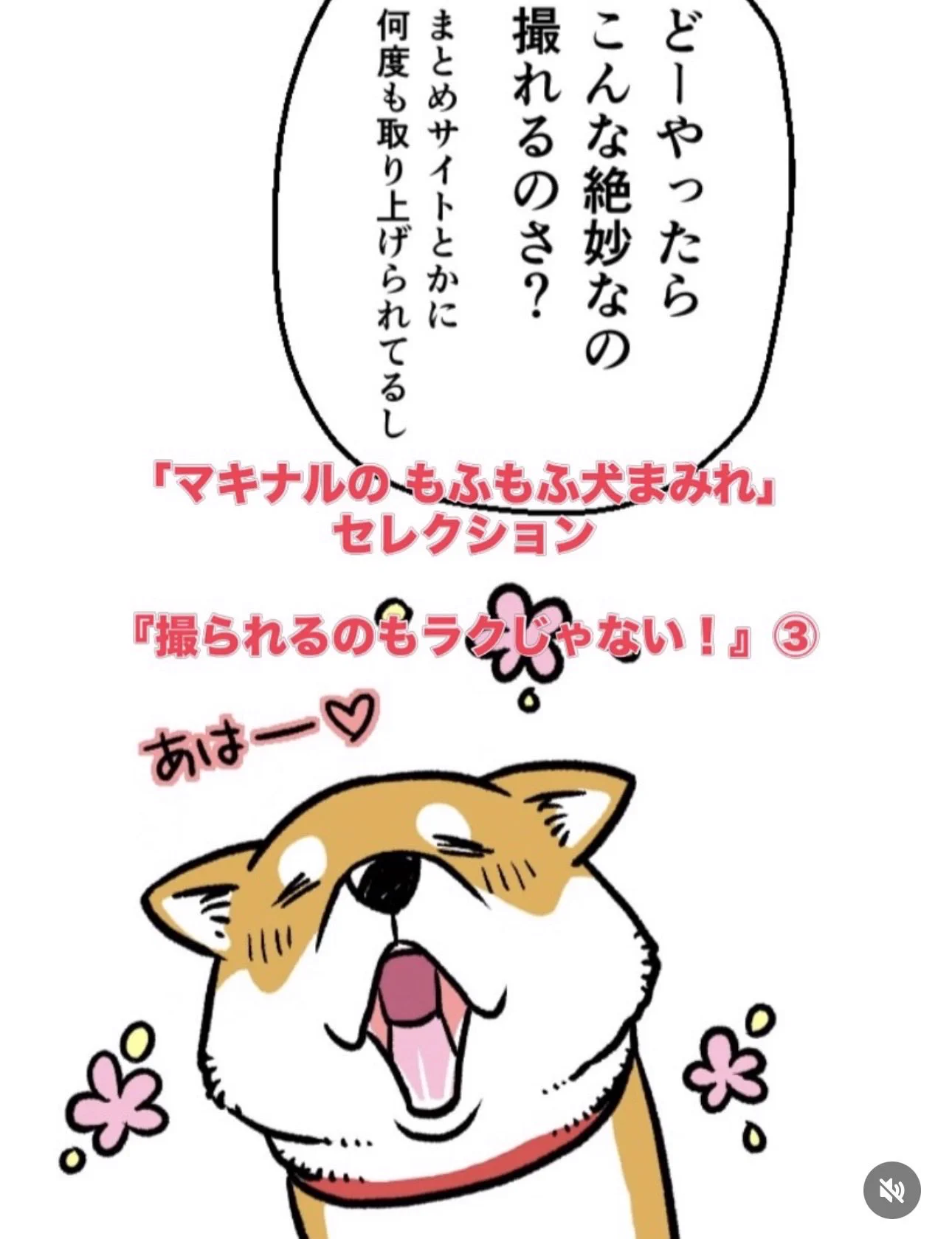 真希ナルセ（マキ） on X: 