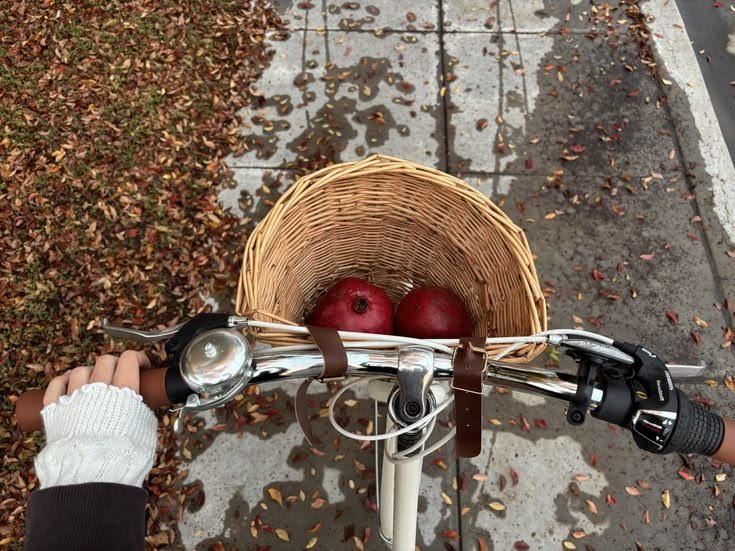 talya9646171863's tweet photo. 12 days left until autumn 🎃🧺🍂 https://t.co/2GQp77pvLW