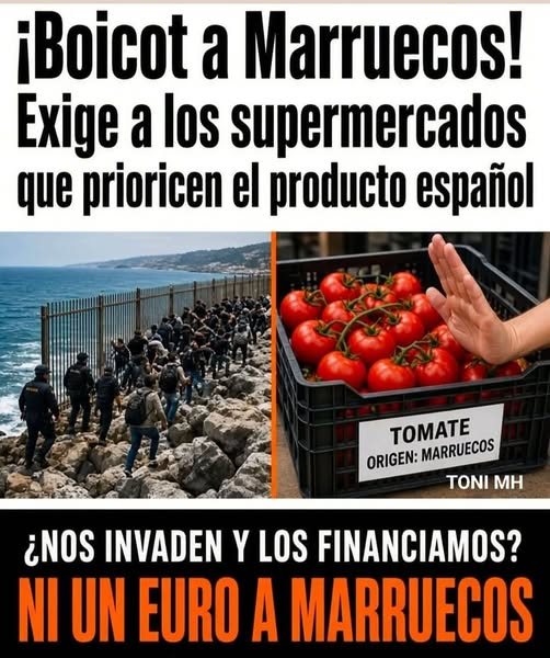 pepeluspain's tweet photo. https://t.co/ImE3IEFQYi