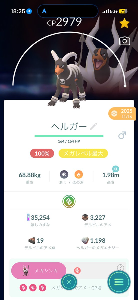 M9fE0's tweet photo. メガヘルガー...(エナジーの量以外)準備完了！！ https://t.co/XQ3ZCZUcjW