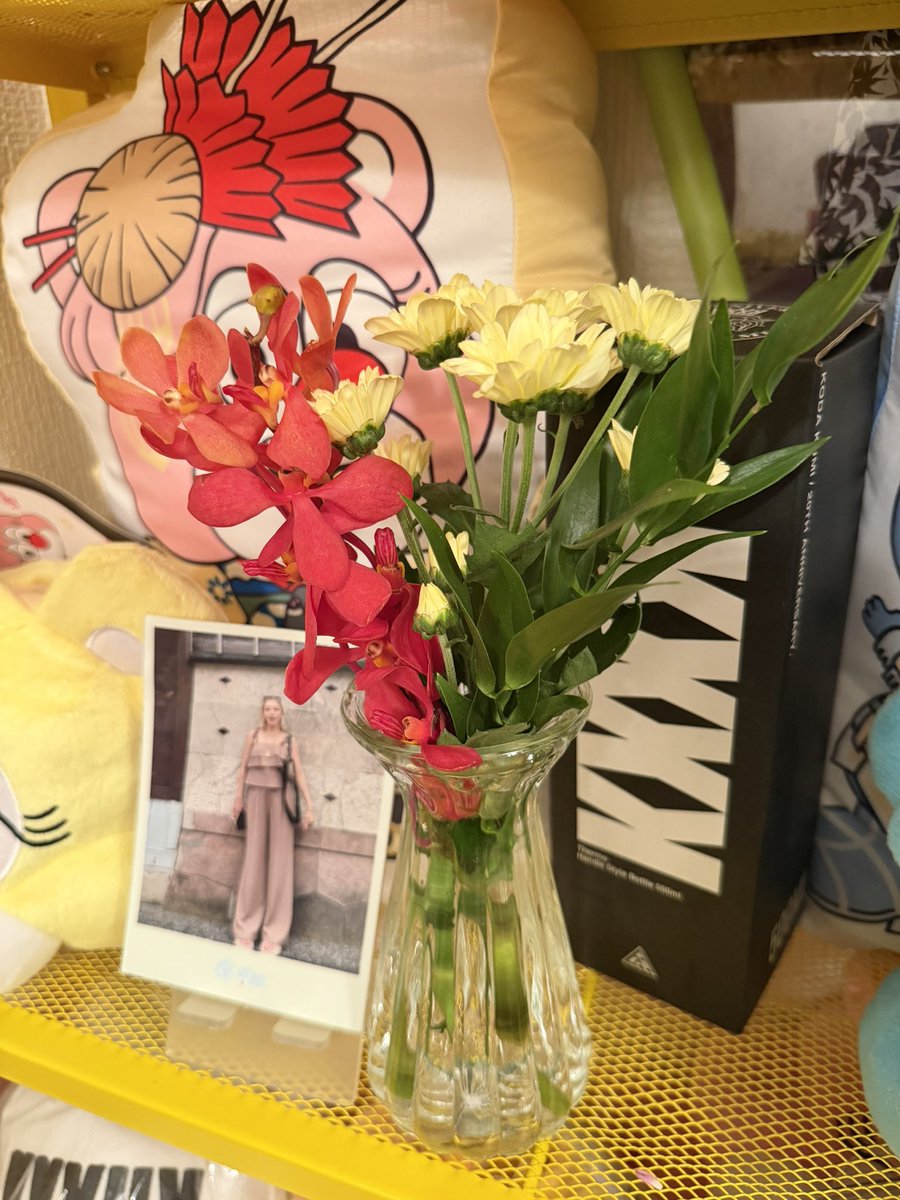 kumi_629's tweet photo. 倖田來未セレクトフラワーギフト💐が届きました💖あと一回で終わり🔚😭ハナメクさま💖ありがとうございました😊
サイン✍️淡路島のようちゃん
購���番号：7f59f5
購入商品：KODA KUMI flower gift for KODAGUMI
@KODAKUMINET 
#KKFG
#ハナメク
#ハナメクさんありがとう
#hanameku
#淡路島のようちゃん https://t.co/1JxcTRKfeG