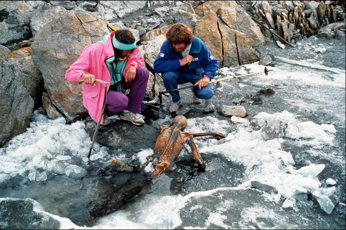 SamaHoole's tweet photo. Ötzi was pronounced a vegetarian from a strand of his hair, and then somebody found his stomach.

1991. Two hikers in the Ötztal Alps come across a body melting out of a glacier at 3,200 metres. Ötzi, as he is named, turns out to be 5,300 years old, a Copper Age man in his forties with a copper axe, a longbow, a quiver, a flint dagger, and an arrowhead in his left shoulder that killed him. The most examined corpse in history.

In the 1990s researchers took a hair sample and read the nitrogen in it. The number came back low, and the verdict went round the world: the Iceman ate mostly plants. A vegetarian in the Alps, 3,000 years before Christ, quietly confirming everything a 1990s food pyramid wanted confirmed. It fitted the story, so it stuck, and it went into the books.

His stomach was missing. Or rather, it had shrivelled and shifted up under his ribs during five millennia in the ice, and nobody found it until a radiologist went through the scans again years later. It was full. He had eaten a large meal shortly before he was shot, which is the one piece of luck in the whole affair, because a stomach keeps a receipt and a hair keeps a rumour.

In 2018 a team went through what was in it with every tool a laboratory has.

Ibex. The fat of an alpine goat, roughly half the entire stomach contents by residue. Ibex muscle, too, with the fibres intact, which means it had been dried or lightly smoked and never cooked above 60 degrees. Red deer alongside it. Some unmilled einkorn wheat, and traces of a poisonous fern that was probably wrapping or medicine. In his kit, for the road ahead, he was carrying more dried ibex and deer.

A man walking into the high Alps in the cold, with a fight behind him and a climb ahead, and his last meal was fat, then meat, then a bit of grain on the side.

That is the Copper Age packed lunch. Half of it was lard, and the man carrying it was fit enough at 45 to be climbing a glacier with a fresh wound in his hand.

The vegetarian verdict was read off his hair, and it was wrong, and it ran for twenty years because it agreed with the pamphlet. His stomach had the receipt the whole time.

He died with an arrow in his back and the right dinner in him. Most people manage neither.