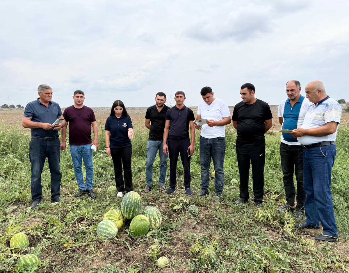FAOAzerbaijan's tweet photo. FAO Azerbaijan supports farmers with practical skills for sustainable agriculture.
In partnership with the Agricultural Training Centre, trainings in #Neftchala, #Lankaran, #Astara & #Salyan covered aquaculture, crop production, dairy, beekeeping, tea & animal health. https://t.co/SXLtsoh6vv
