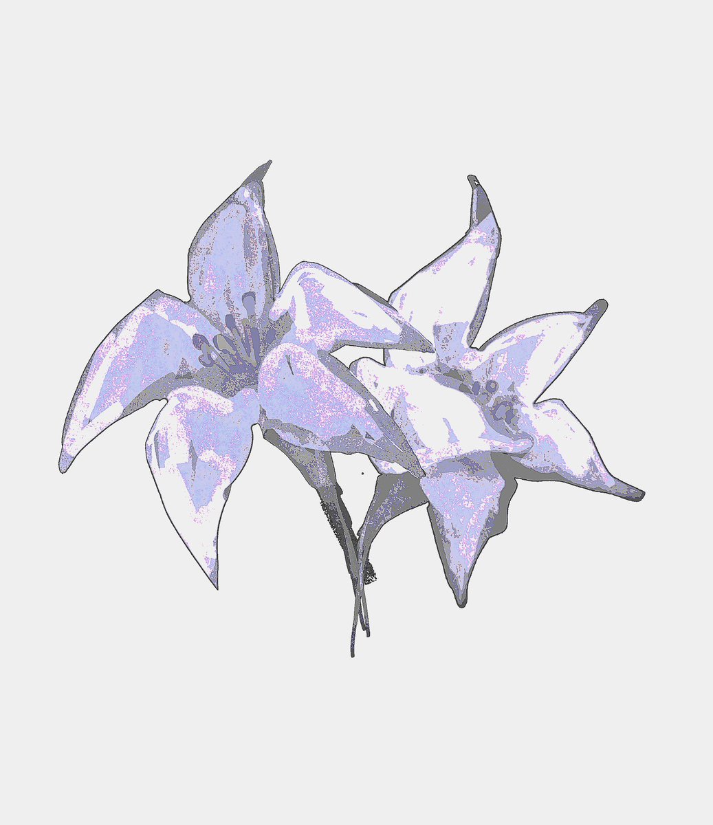 whyhowsad's tweet photo. https://t.co/427x3hPBRe