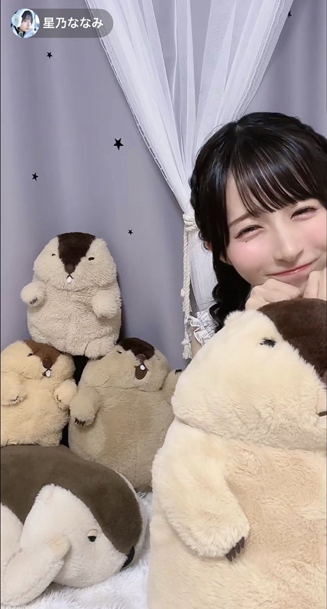 Nanami_FESTIVE's tweet photo. 念願！本物のマーモットに会えた😭♡ https://t.co/YzagpFVjtu
