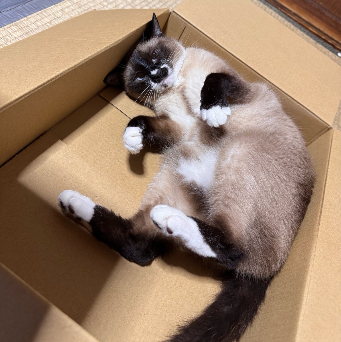 kmdr_h0's tweet photo. 今じゃこれ https://t.co/FBuO9eyp93