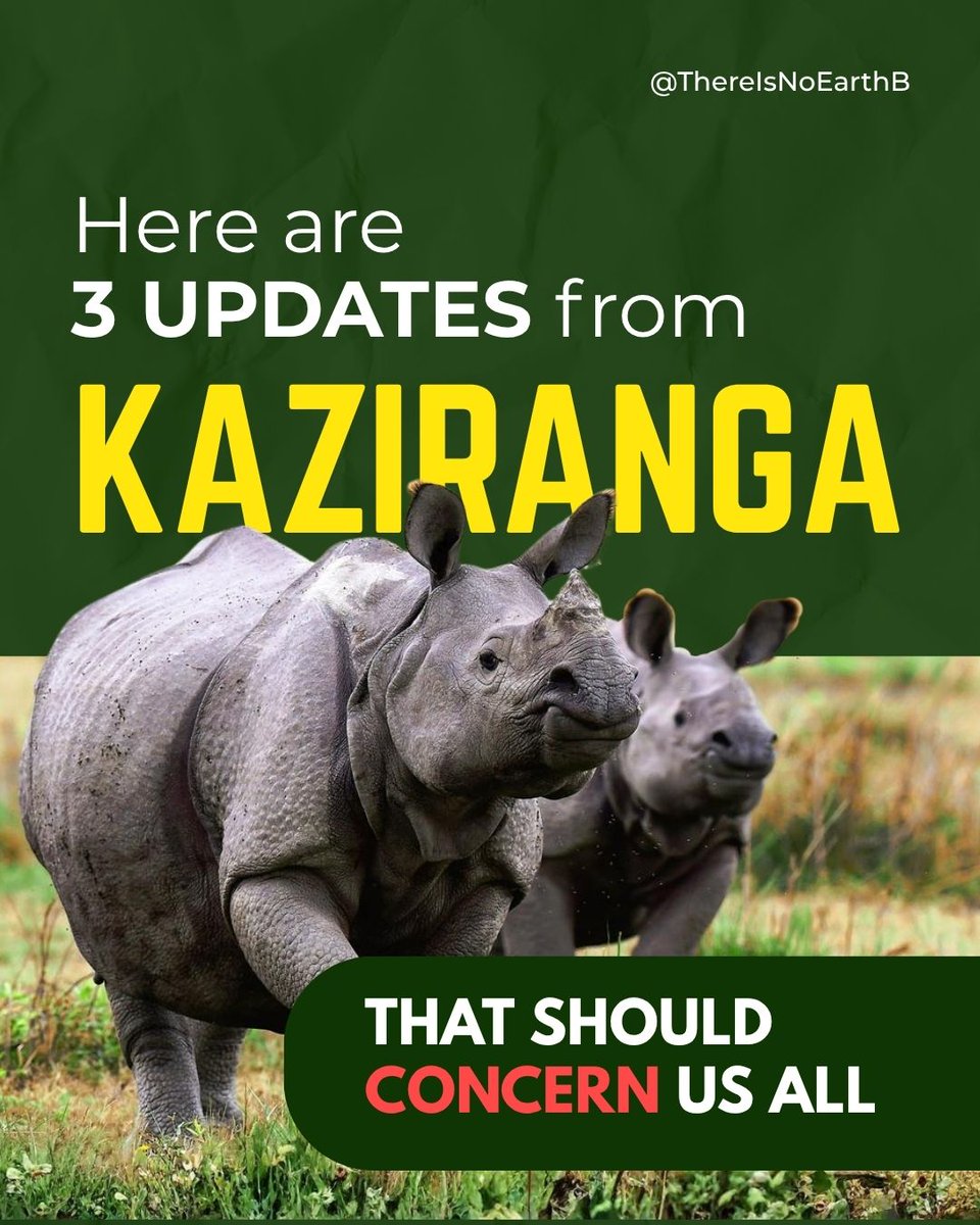 SaveKaziranga's tweet photo. Opposition alleges use of unconstitutional means by state government to silence public dissent: The Print 

End night-time police intimidation and drone surveillance of Adivasi women and their homes @AssamPolice

#SaveKaziranga https://t.co/86JbzESNss