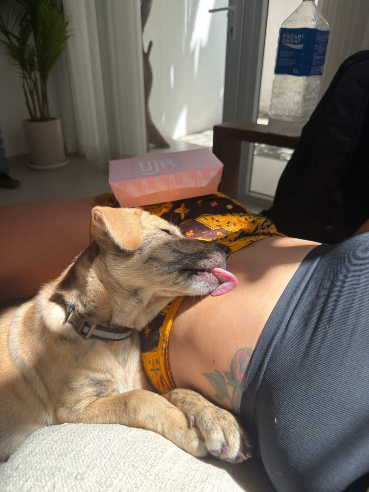 Emmanuellaodes's tweet photo. Dm for my special dogknotting 🐶 videos
Collection 💦🥵 
For more 📩👇👇👇

https://t.co/Bpktlr2fYD

#perras #Hunde #USA #Zoocontent #dogknotting #dogs https://t.co/8GnqkP7f85