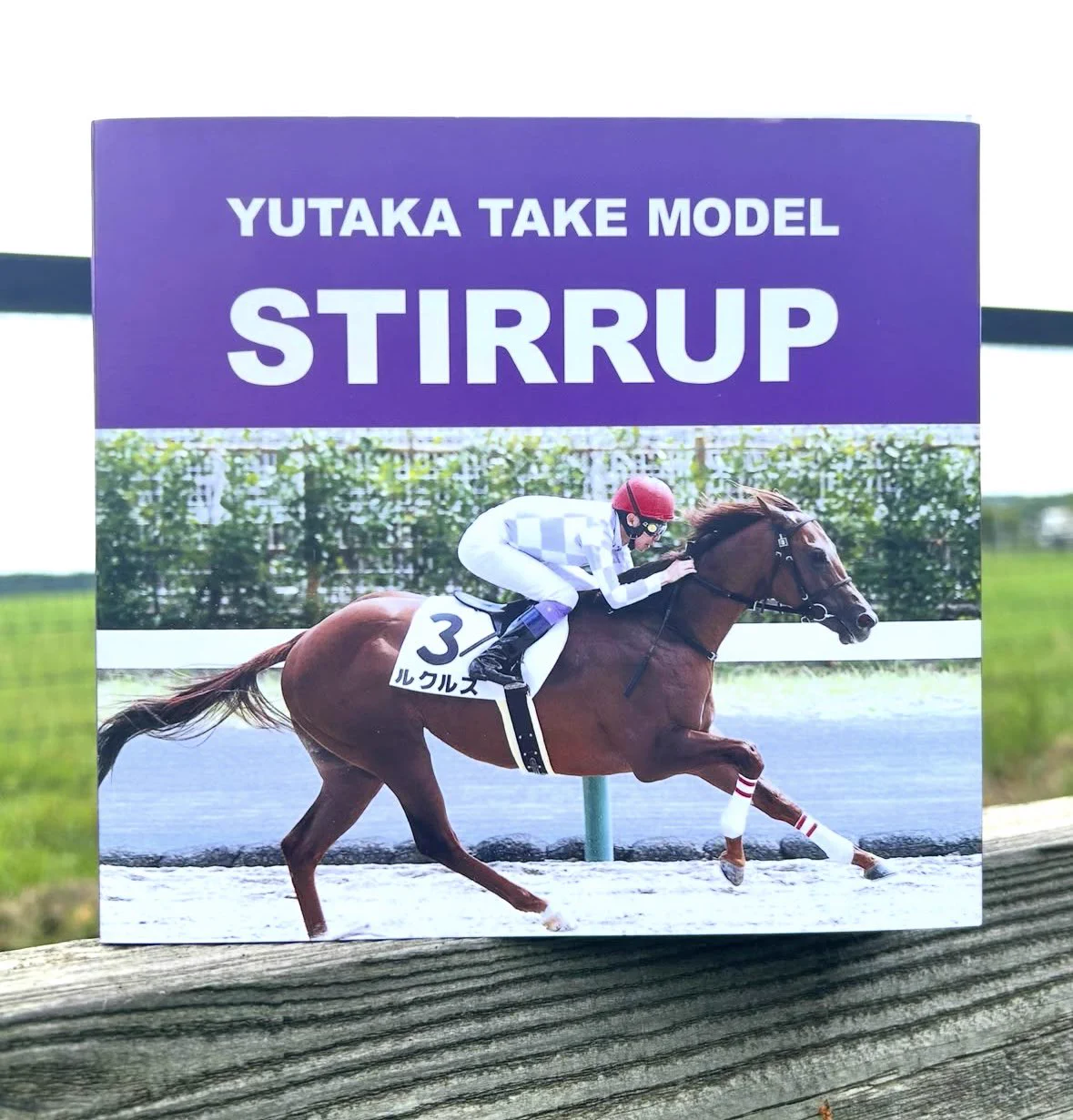 日胆サドラー@北の馬具屋🐎 on X: 